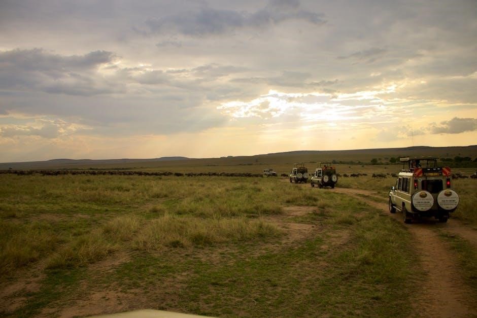 dan mick’s guided jeep tours