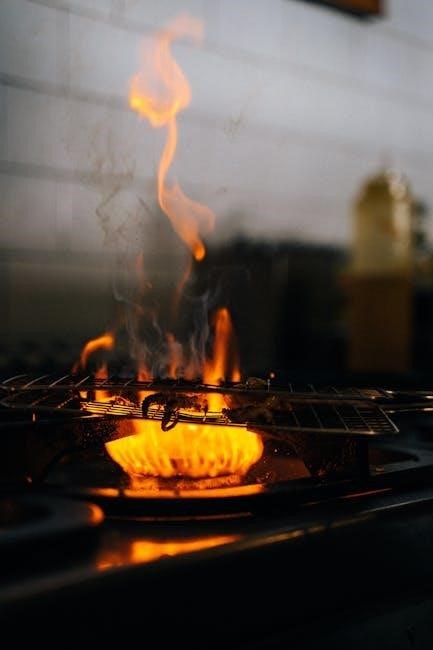 quadra fire castile pellet stove manual